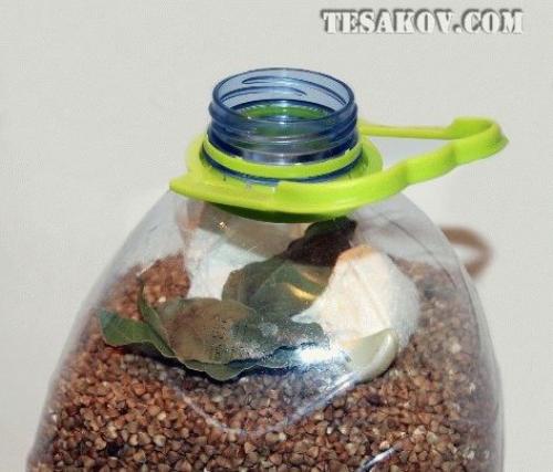 Как хранить остатки каши и как их разогревать. Рекомендуемые статьи