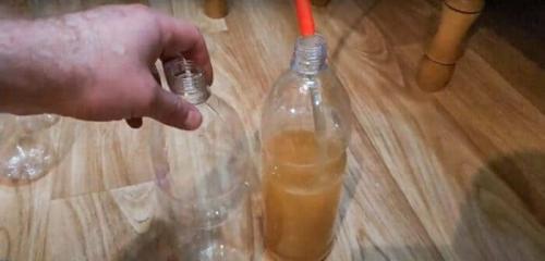 Пиво в домашних условиях без варки. Простое пиво из бородинского и белого хлеба в домашних условиях