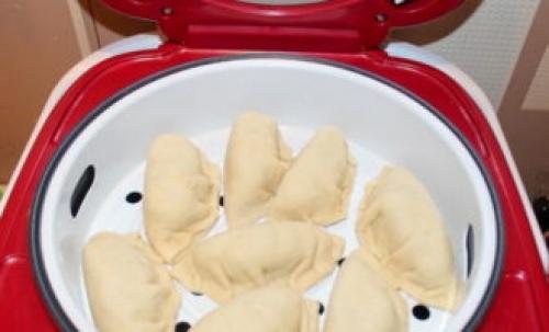 Какую красную рыбу лучше всего использовать для приготовления пельменей. Японские пельмени с лососем и зеленью