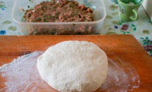 Как выбрать правильную красную рыбу для приготовления пельменей. Японские пельмени с лососем и зеленью