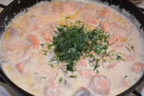 Почему сёмга хорошо сочетается со сливками. Семга в сливочно-чесночном соусе